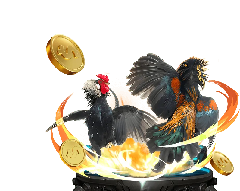 Lịch sử và văn hóa đá gà truyền thống